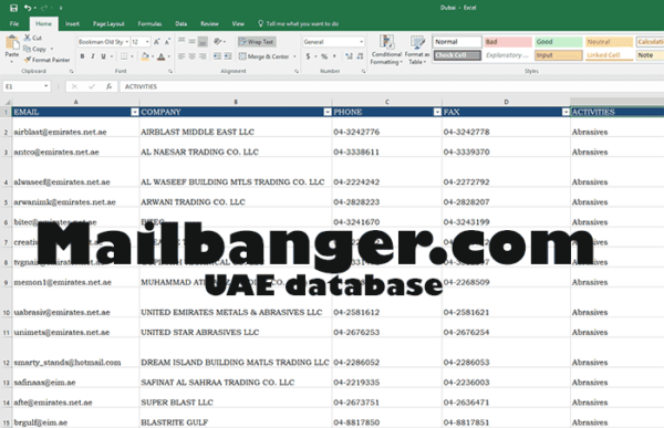2024 UAE Business Database - Image 2