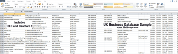 UK Business Database - Image 2