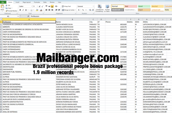 Brazil Business Database & Bonus - Image 3