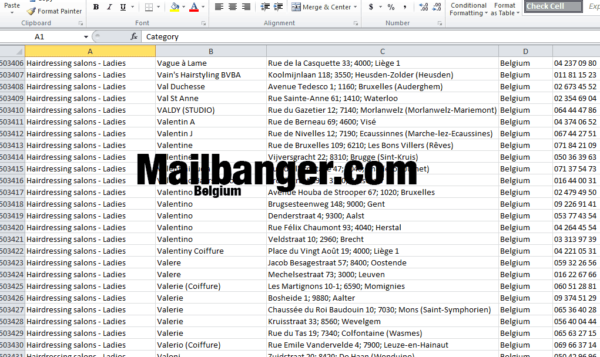 Belgium Business Database - Image 3