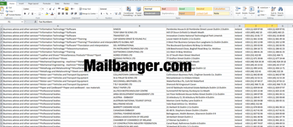 Ireland Business Database - Image 3