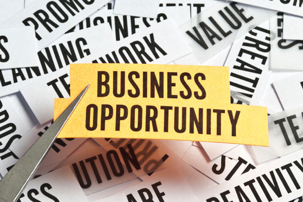 Tapping the right business opportunity seekers leads - Mailbanger