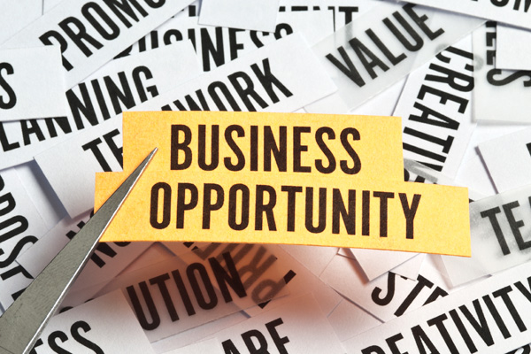 business opportunity seekers leads